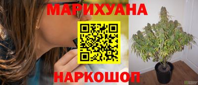прущие крисы Балаково