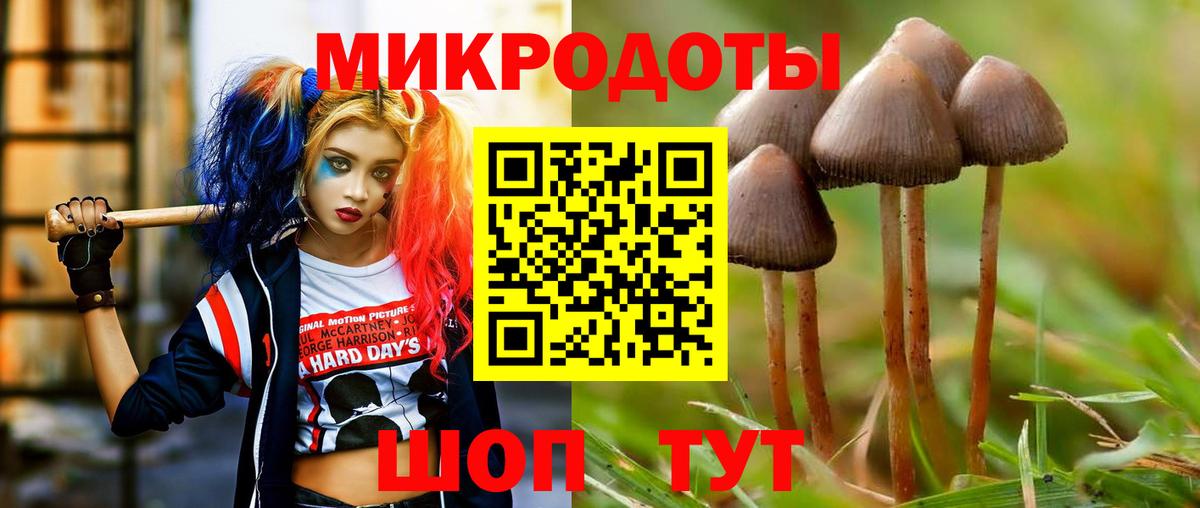 Псилоцибиновые грибы MAGIC MUSHROOMS Гай